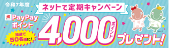 ネットで定期キャンペーン