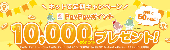 ネットで定期キャンペーン