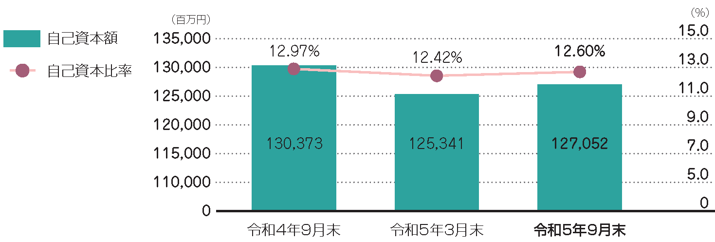 自己資本比率の状況