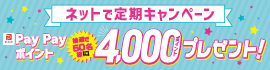 ネットで定期キャンペーン